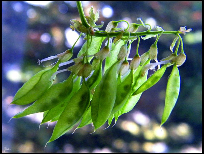 DSCF9412=.jpg
