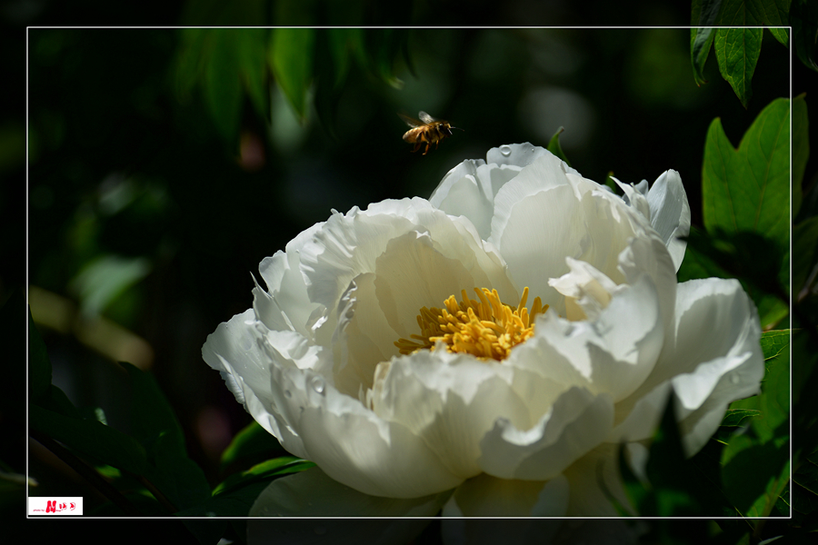 DSC_0317_����.jpg