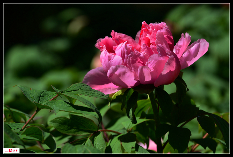 DSC_0169_����_����.jpg