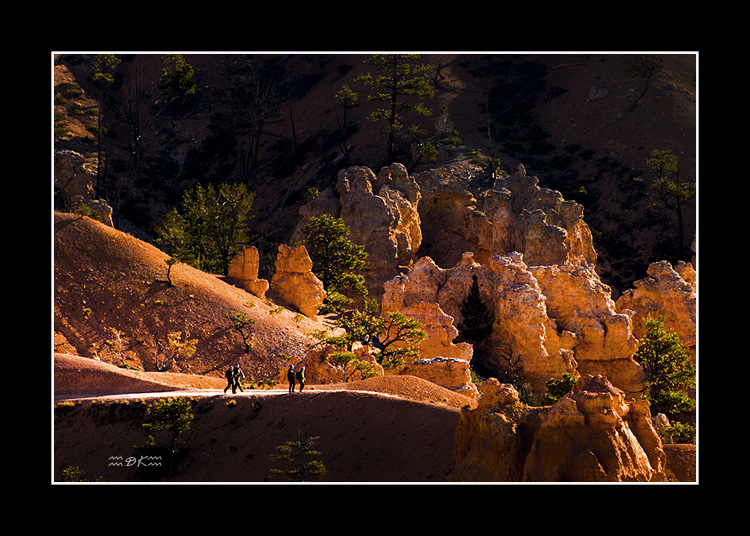 DSC_4299C1.jpg