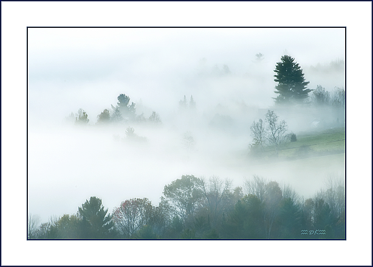 DSC_0390C.jpg