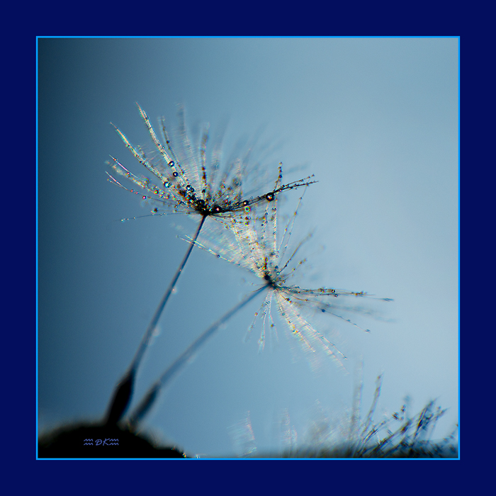 DSC_5819C.jpg