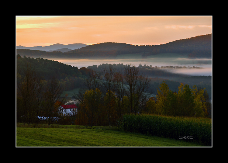 DSC_0274C.jpg