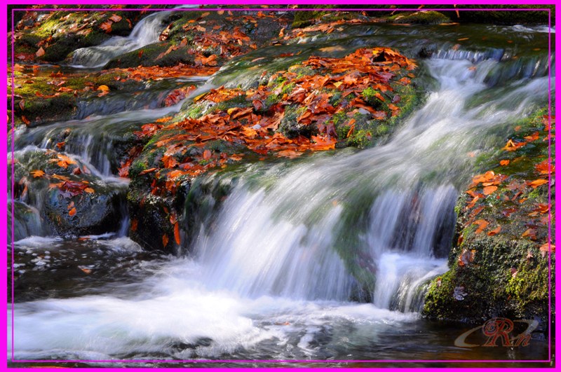 falls2.jpg