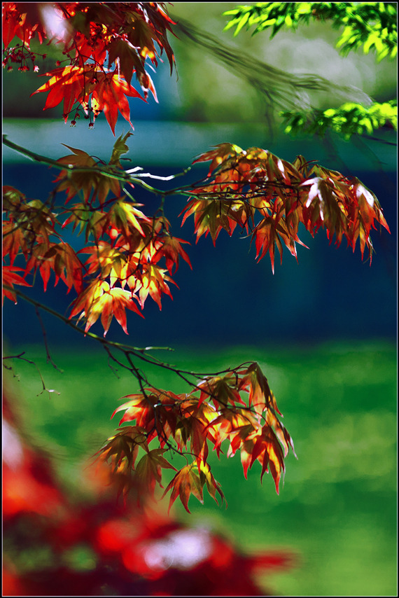 _DSC7273_����.jpg