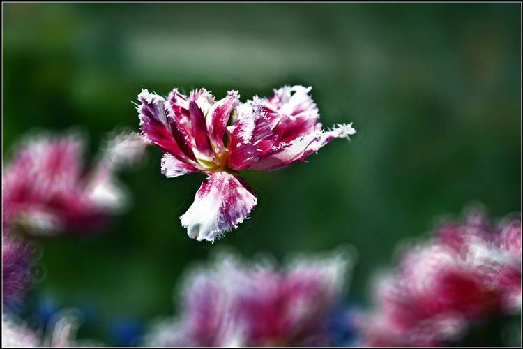 _DSC7373_����.jpg