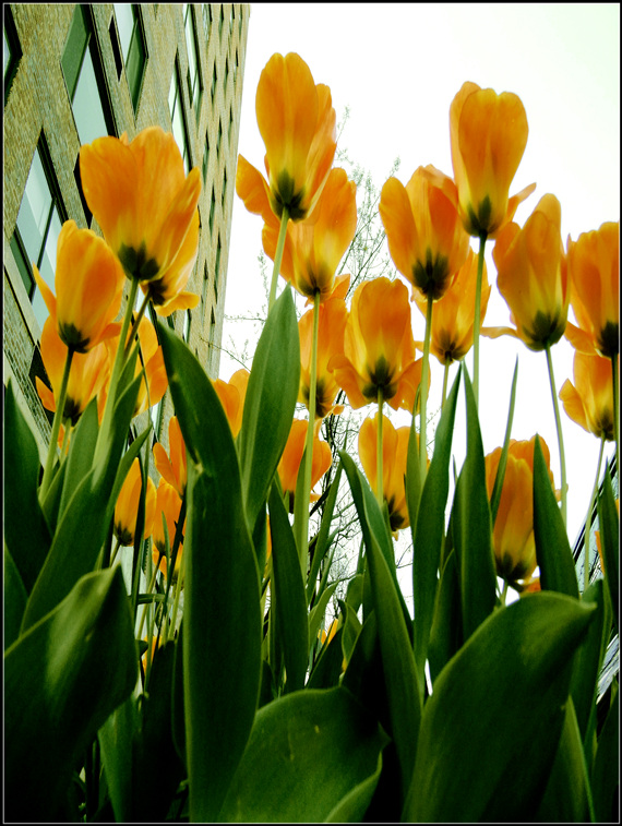 DSCN2495.jpg