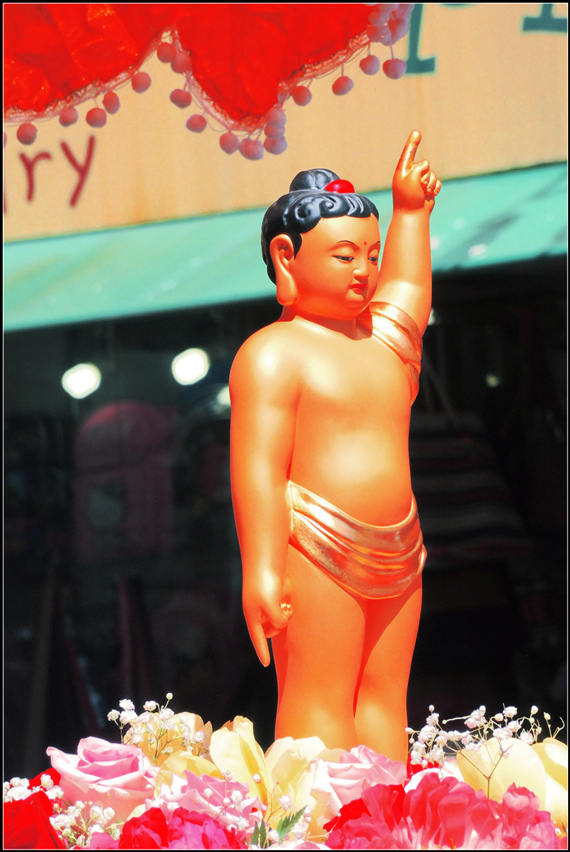 DSCN2786.jpg