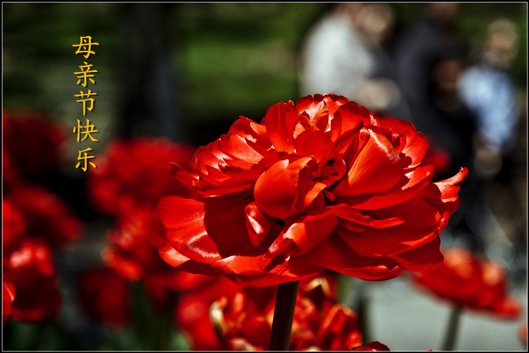 _DSC7315_����.jpg