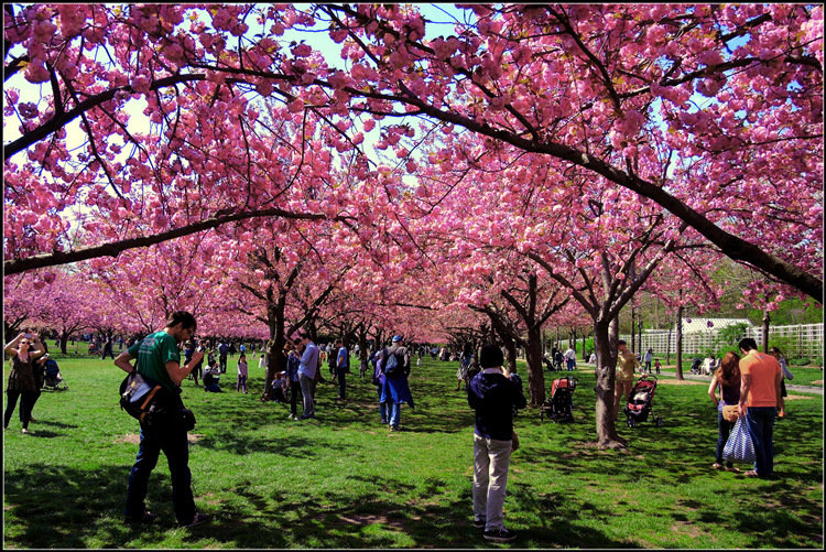 DSCN2535.jpg
