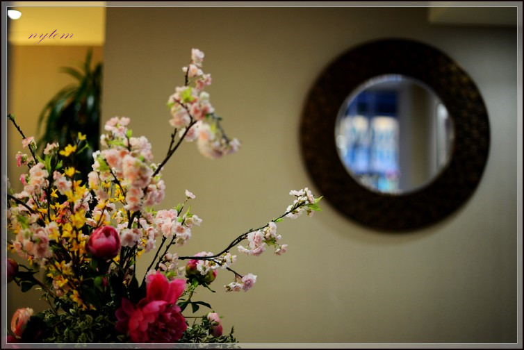 DSC_3831a.jpg