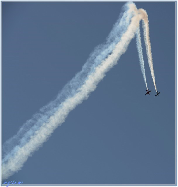 DSC_5687tom.jpg