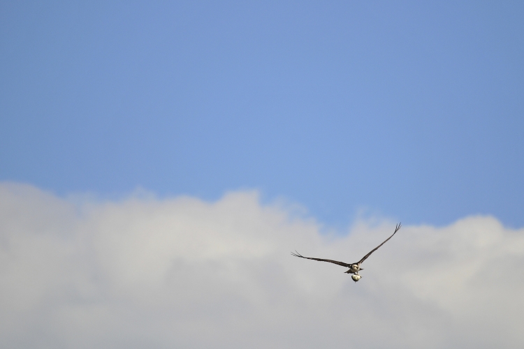 _DSC9045_01.JPG