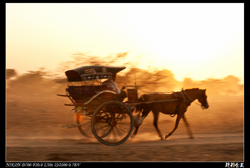 DSC_5266.jpg