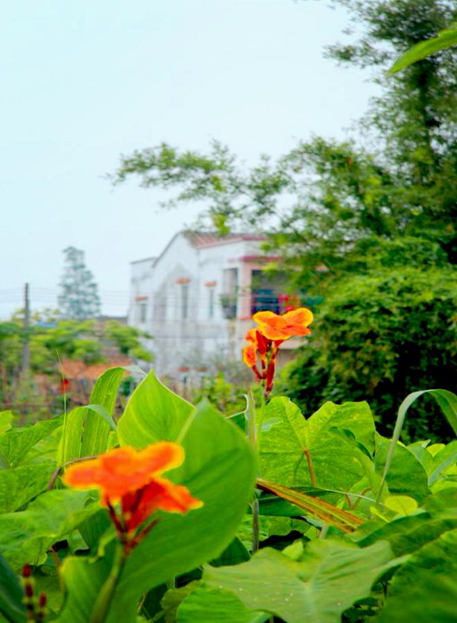 IMG_4967.JPG