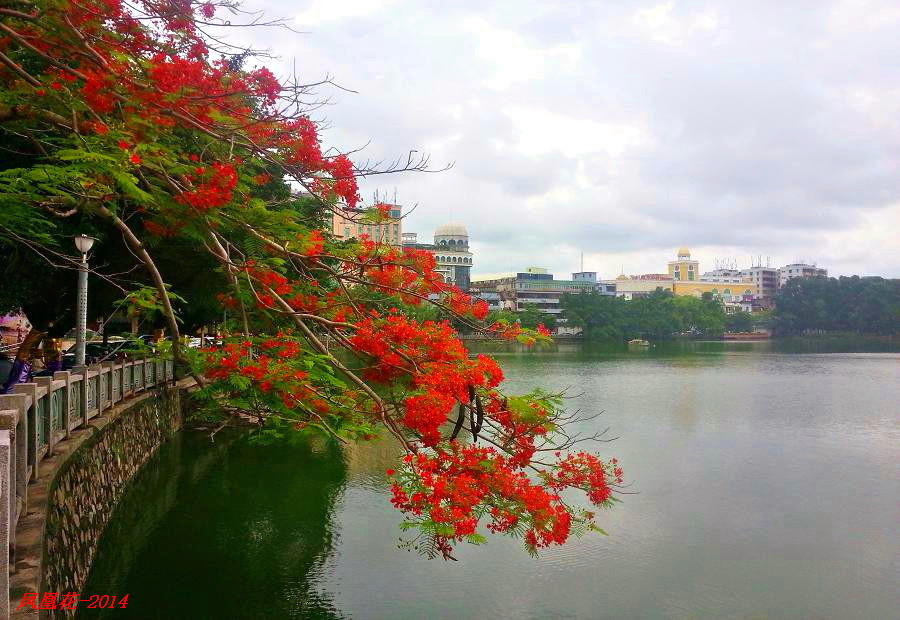 20140521_104609.jpg