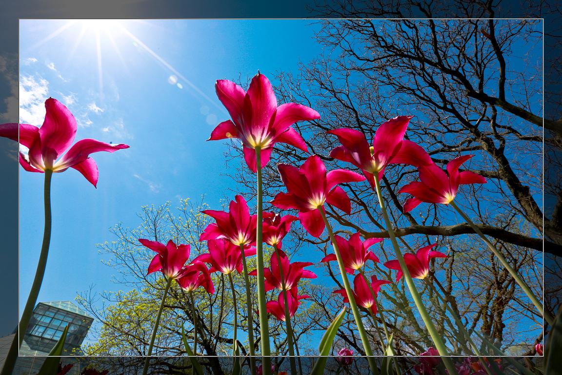 �}�u -05-03-2014--�~�s 242-3.jpg