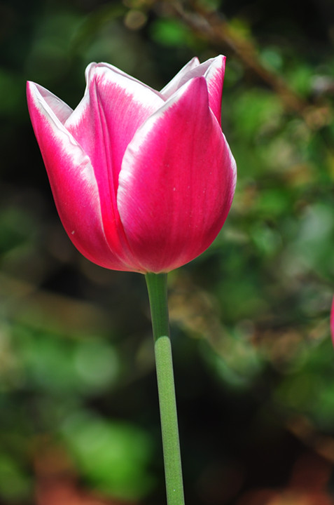 DSC_0898_����.jpg
