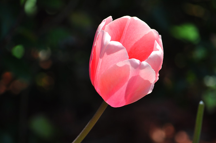 DSC_0910_����.jpg