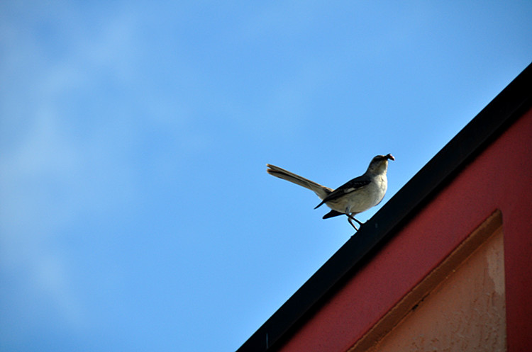 DSC_0715_����.jpg