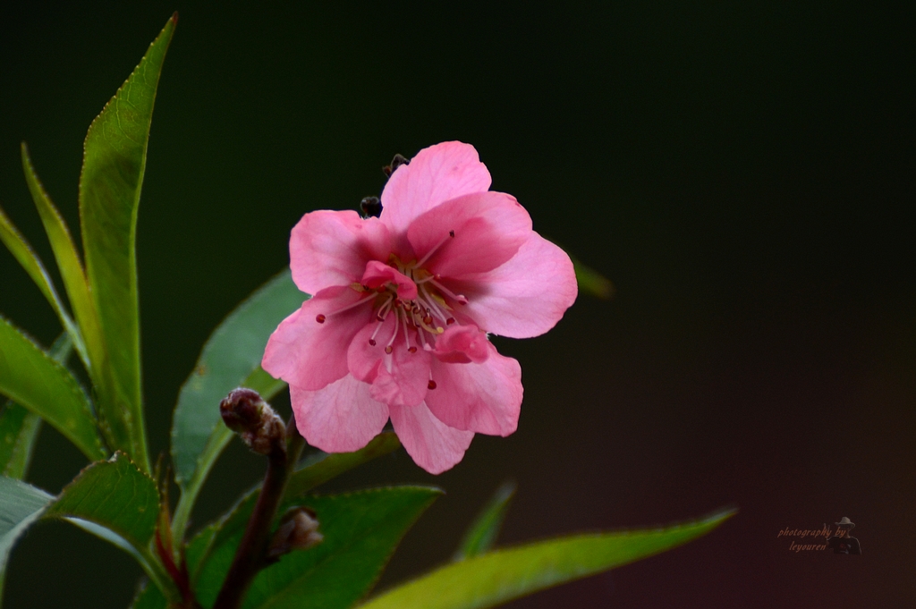 DSC_0846.JPG