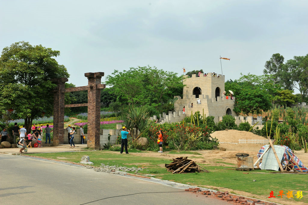 DSC_3169.jpg