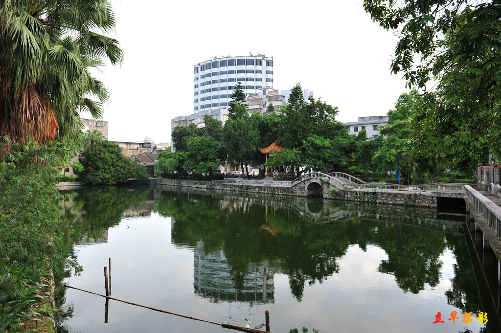 DSC_3740.JPG
