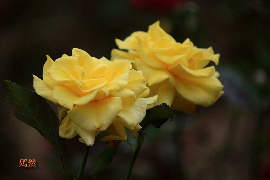 QQͼƬ20140420131729.jpg