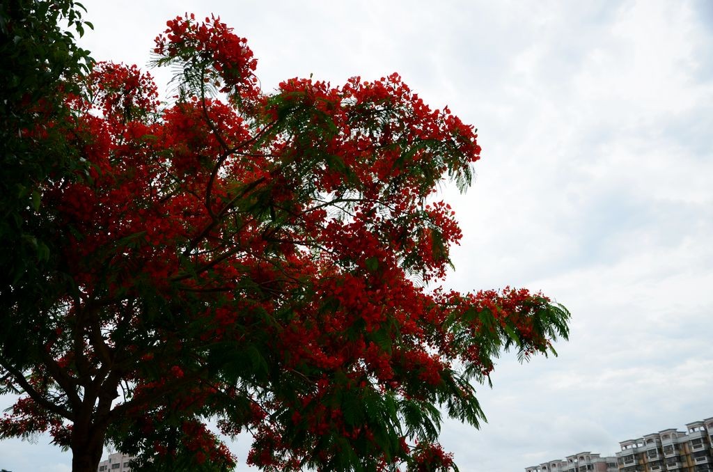 QQͼƬ20140519202830.jpg