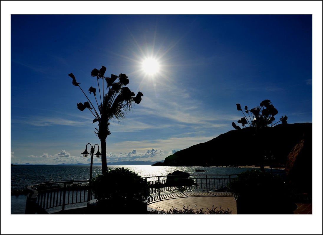 DSC_1608_conew1.jpg