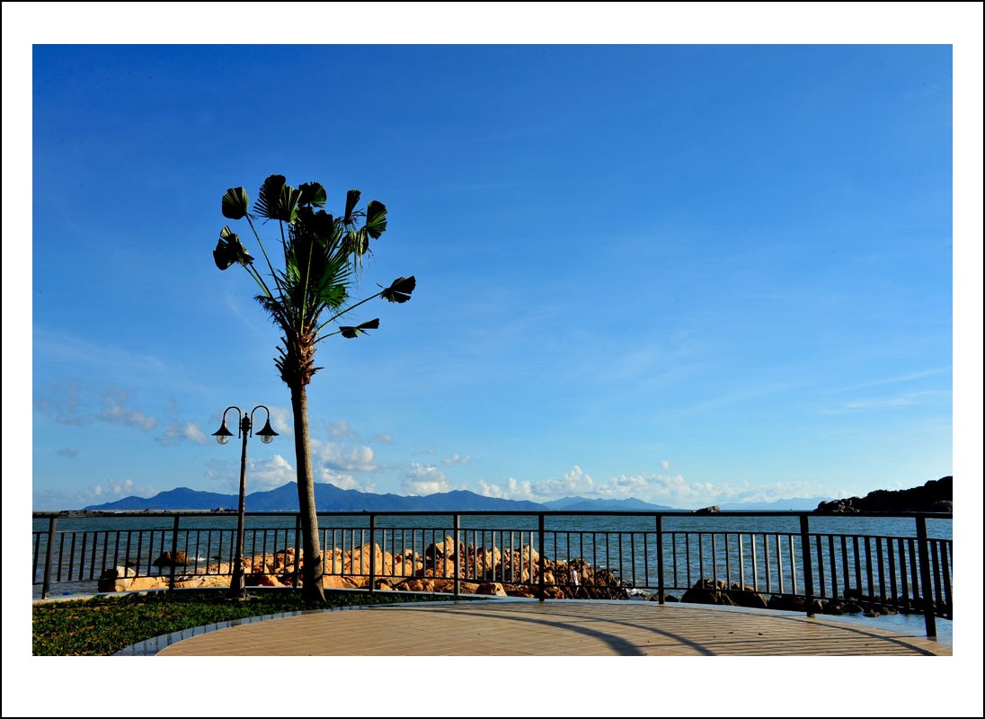 DSC_1649_conew1.jpg