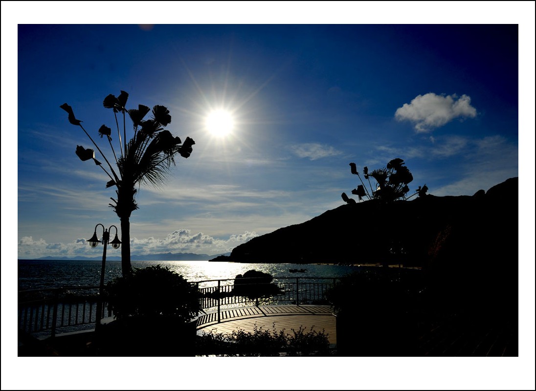 DSC_1617_conew1.jpg