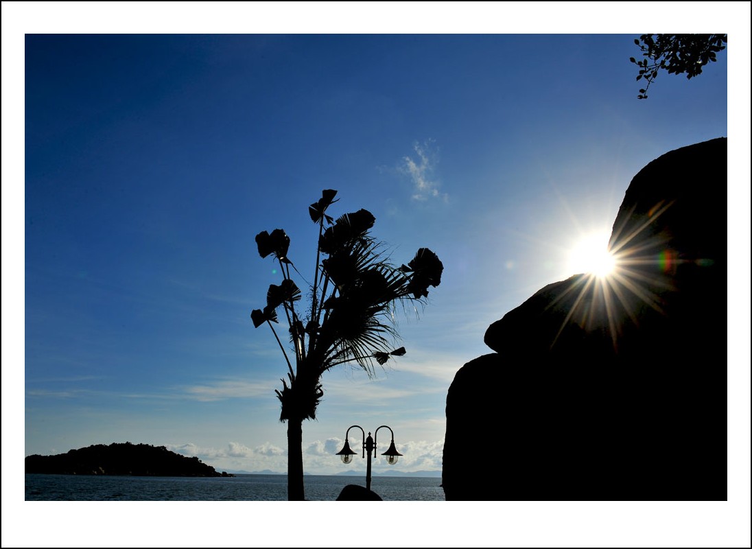 DSC_1654_conew1.jpg