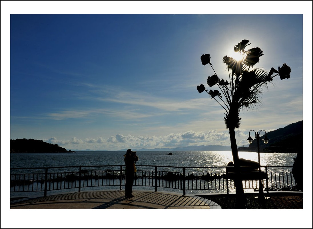 DSC_1657_conew1.jpg
