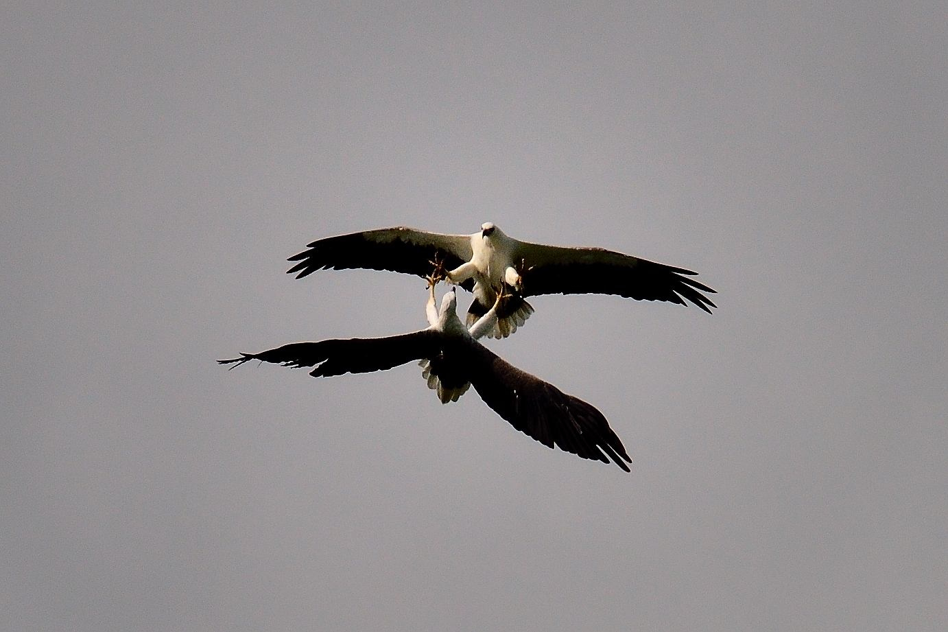 LangkawiD4S051320141500.JPG