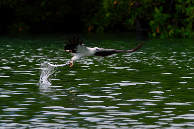 LangkawiD4S051420141020A.JPG