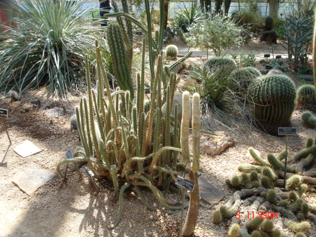 DSC05329.JPG