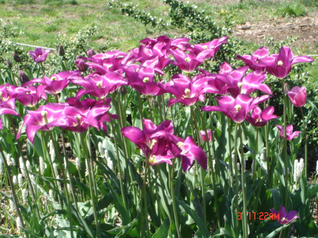 DSC05304.JPG