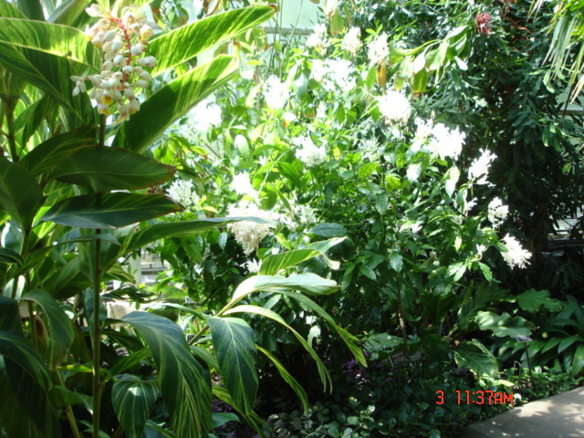DSC05326.JPG