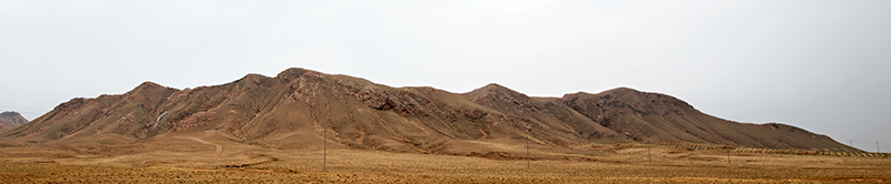 DSC_7223-.jpg