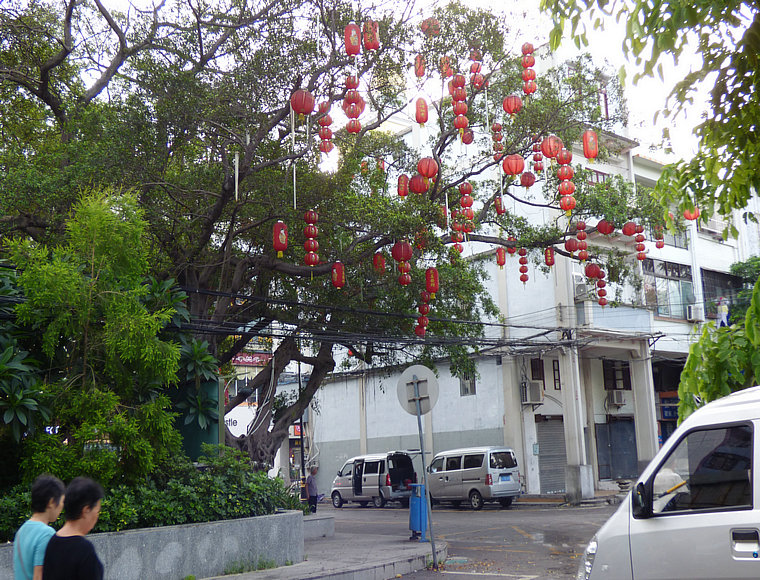 P1030657.JPG