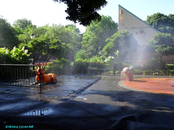 DSC02174m.jpg