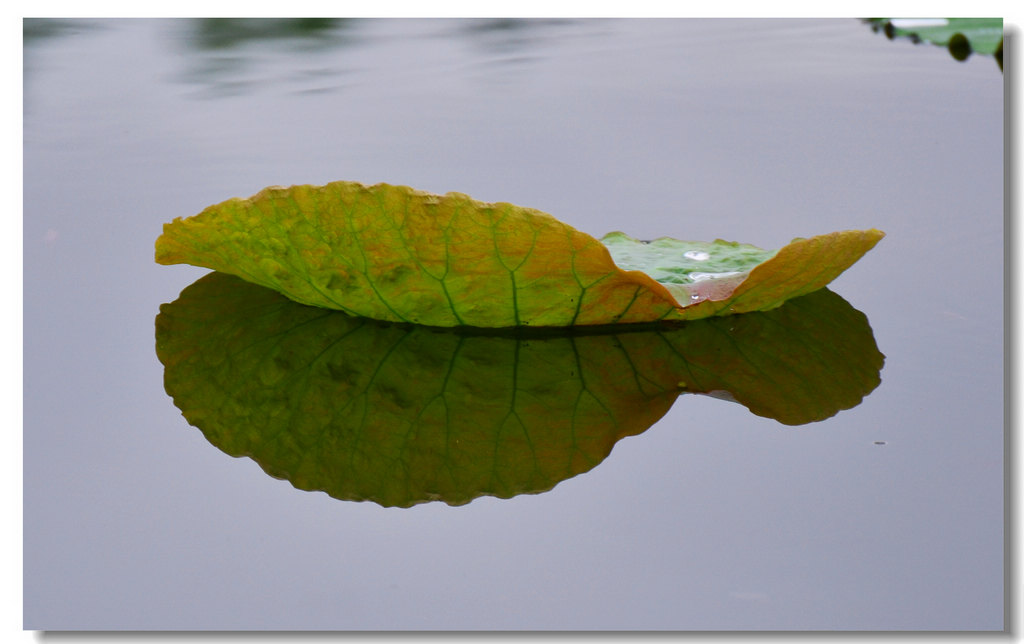 DSC_7984.jpg