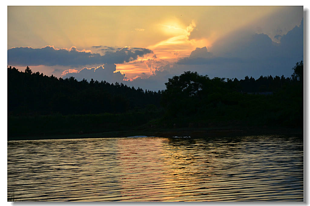 DSC_7345.jpg