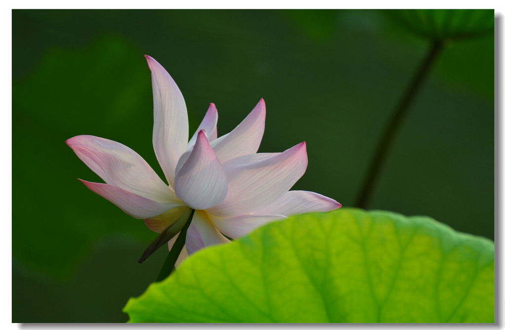 DSC_6223.jpg