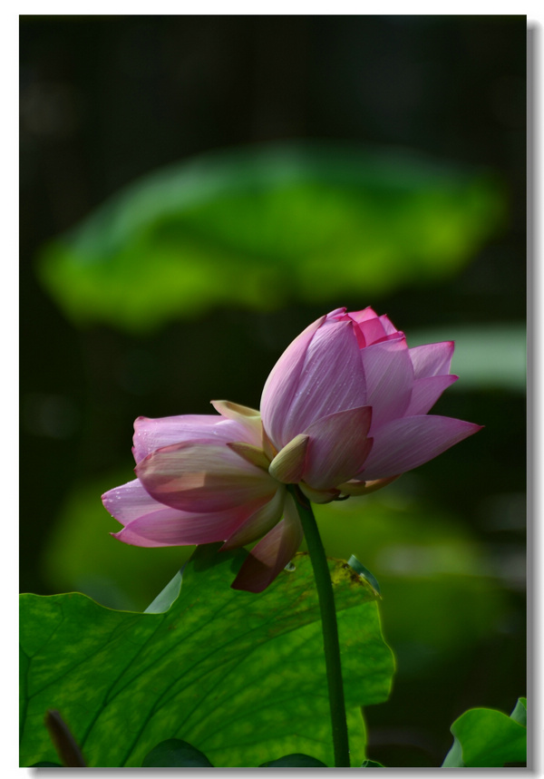 DSC_5150.jpg