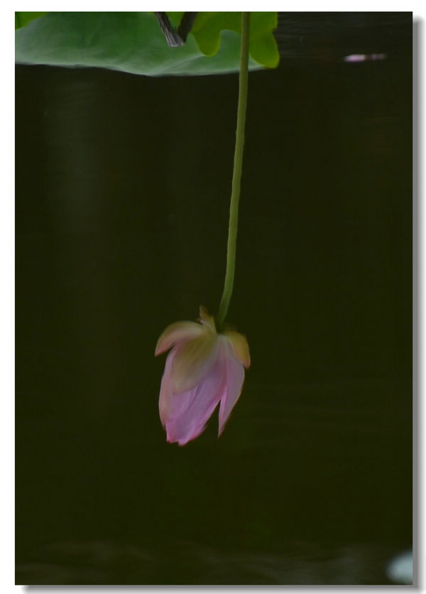 DSC_5022.jpg