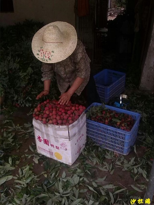 psb[2].jpg