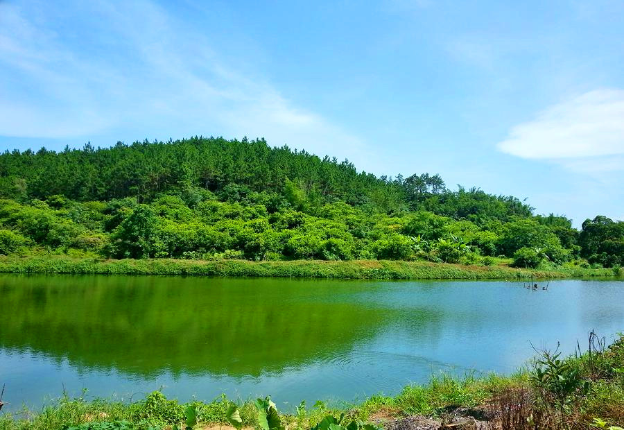 20140627_144549.jpg