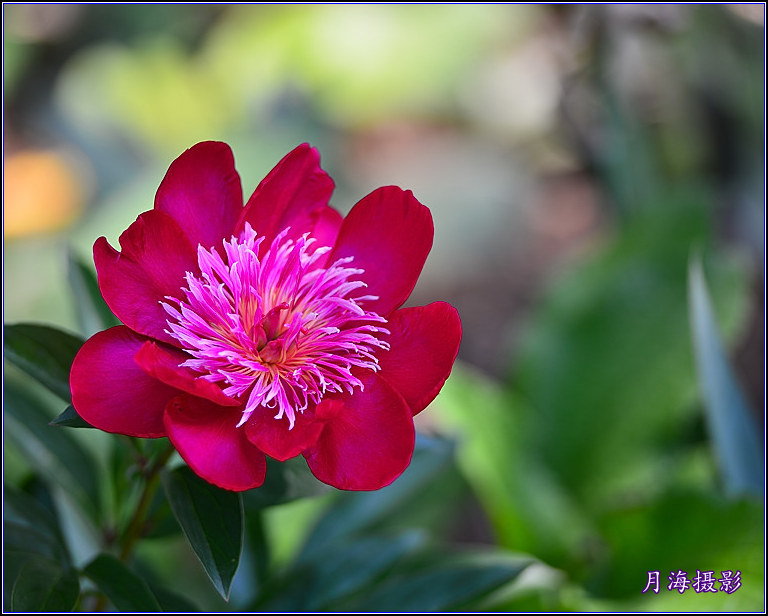 DSC_5892_����.jpg